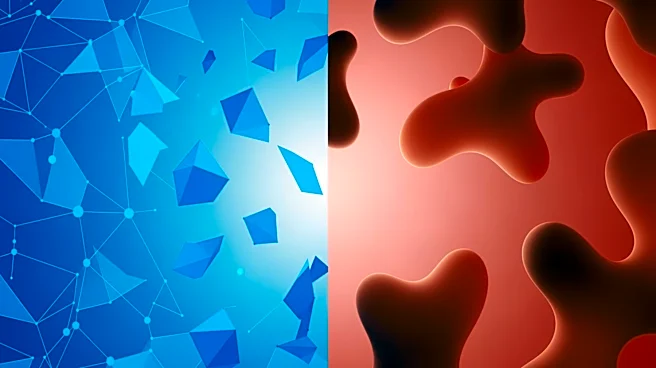 Divergent Views Emerge on New Data from America's Anti-HIV Efforts