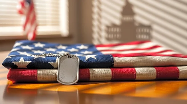 Deported Army Veteran's Case Prompts Navy Veteran's Congressional Run in Georgia