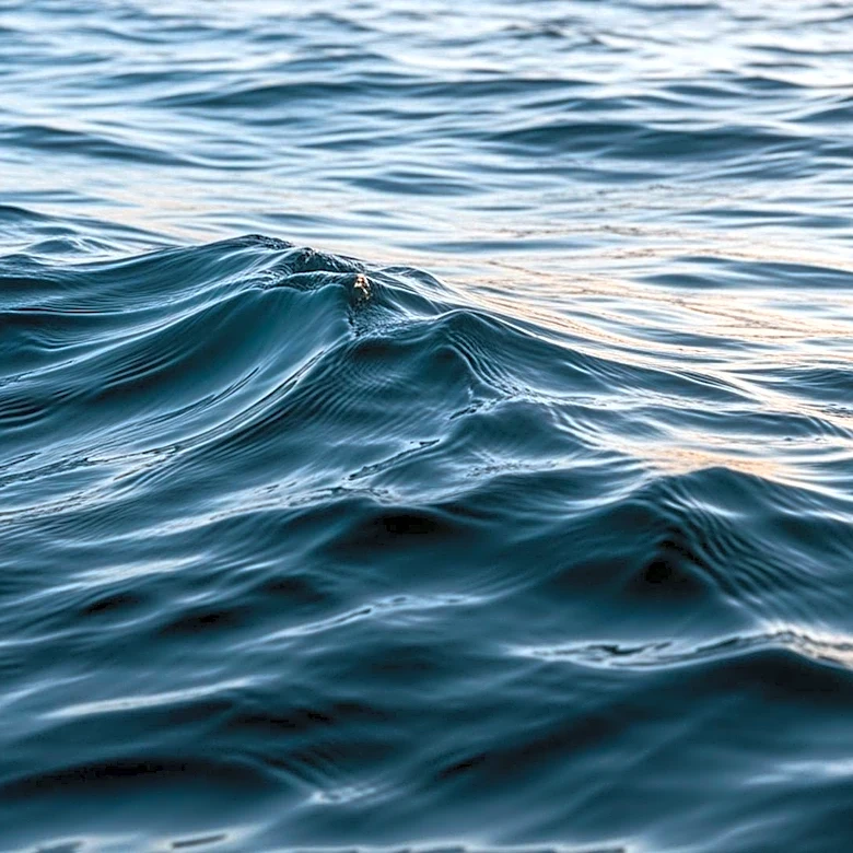 Oceanographer Helen Czerski Discusses Ocean's Role as Earth's Engine at UH Lecture