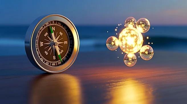 Nigeria Pledges Support to Gulf Allies Amid US-Israel-Iran Tensions