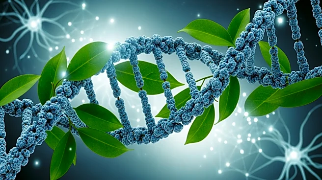 Personalized Medicine and Lifestyle Changes Show Promise in Reducing Cognitive Decline