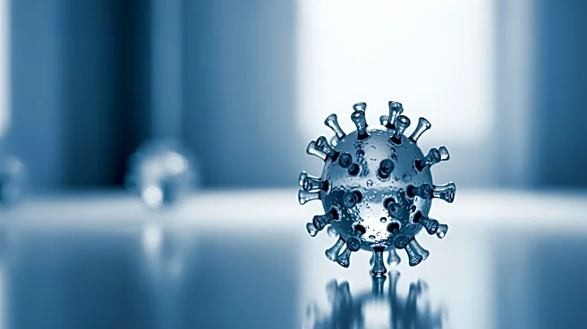 Silent Measles Spread in US Threatens Elimination Status