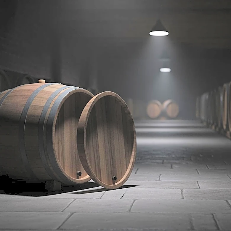 Ilhan Omar's Husband's Winery Shuts Down Amid Congressional Financial Scrutiny