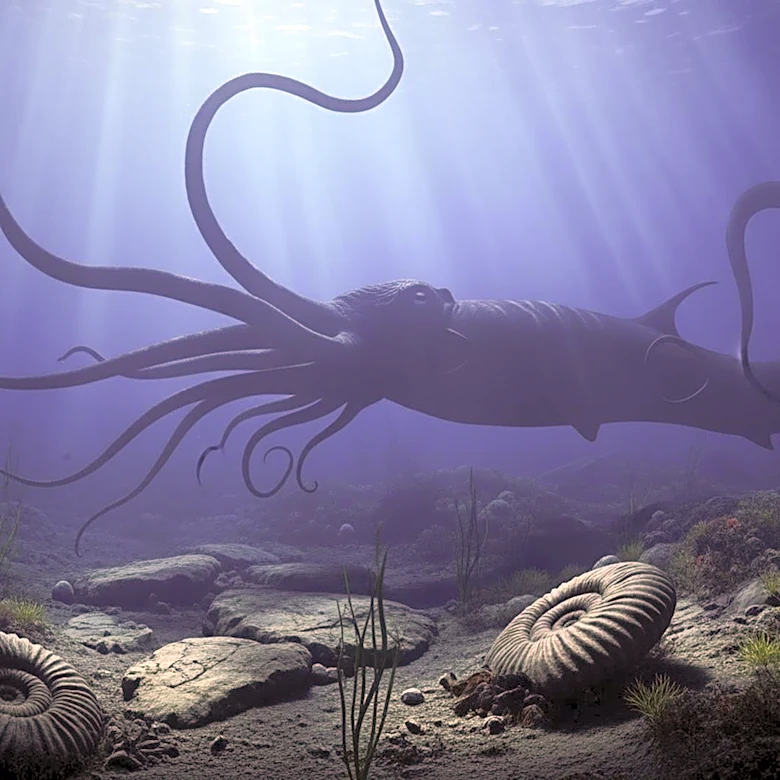 Discovery of 'Cretaceous Kraken' Fossils Reveals Ancient Apex Predator