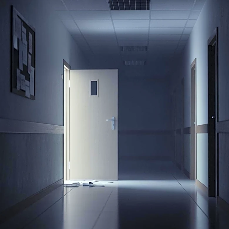 Roommate Arrested After USF Doctoral Student Found Dead, Search for Second Student Continues