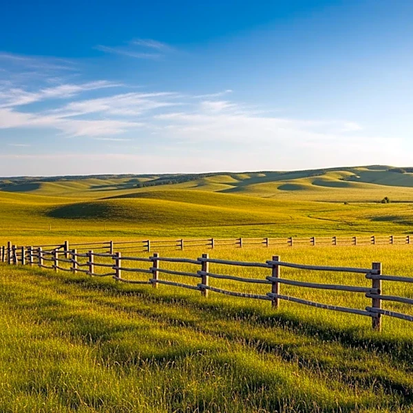 U.S. Agriculture and Interior Departments Announce New Federal Lands Grazing Strategies to Support Ranchers