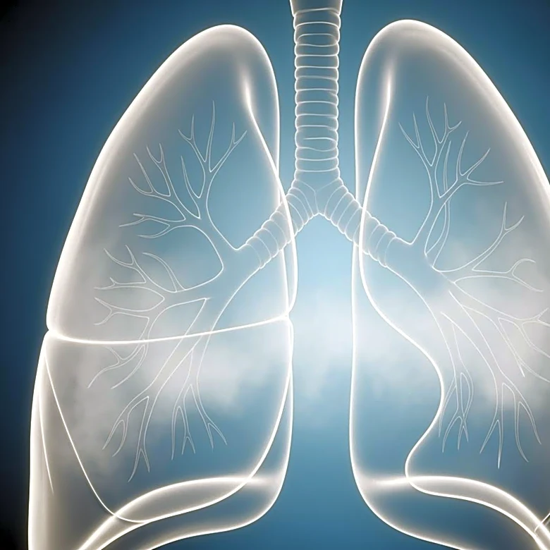 New Research Reveals Impact of Slower Breathing on Emotional Perception