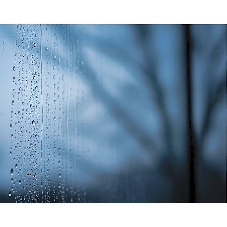 Tri-State Area Braces for Cold Friday Night Ahead of Rainy Weekend