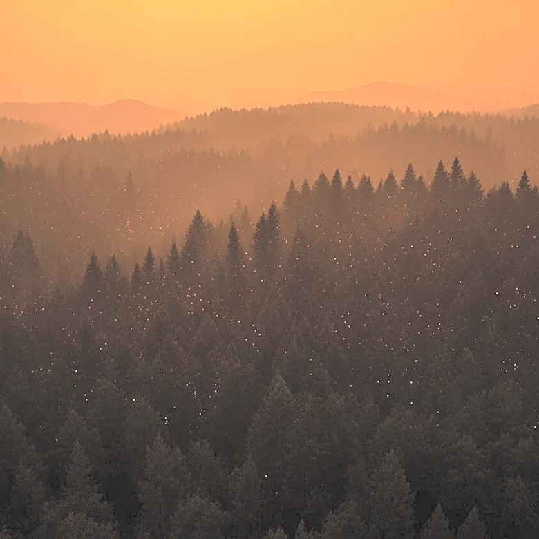 Wildfires in Georgia and Florida Prompt State of Emergency and Burn Bans