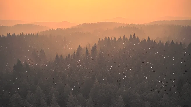 Wildfires in Georgia and Florida Prompt State of Emergency and Burn Bans