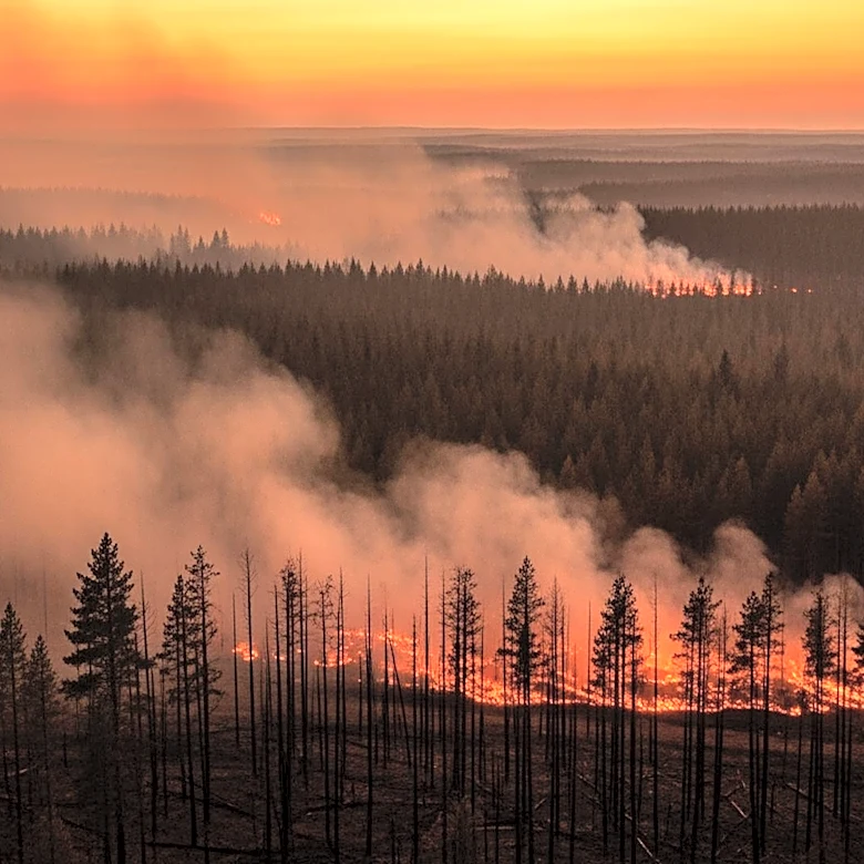 Wildfires in Georgia and Florida Lead to Destruction and Fatality