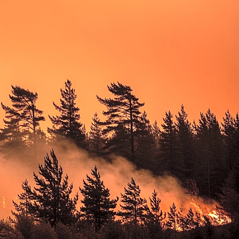 Georgia Wildfires Continue to Threaten Residents as Strong Winds Loom