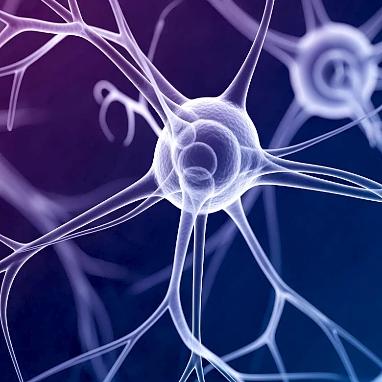 Single-Cell Atlas of the Prenatal Brain Reveals How Down Syndrome Reshapes Development