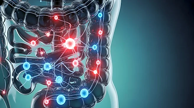 Harvard Researchers Identify Gut Bacteria's Role in Depression Through Inflammation