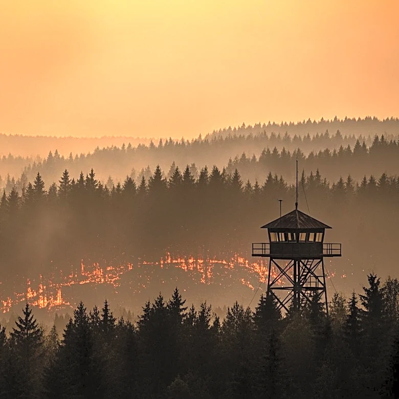 Governor Kemp Declares State of Emergency as Wildfires Devastate Georgia