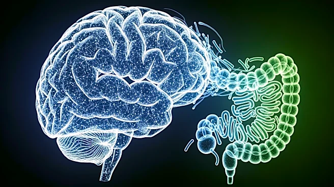 Research Identifies Gut Bacteria as Potential Trigger for Neurodegenerative Diseases