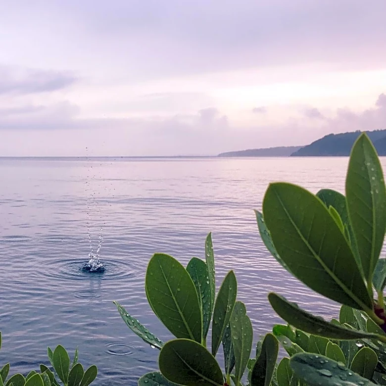 Chloe Carlson Reports Light Rain Forecast for Southern California Over Weekend