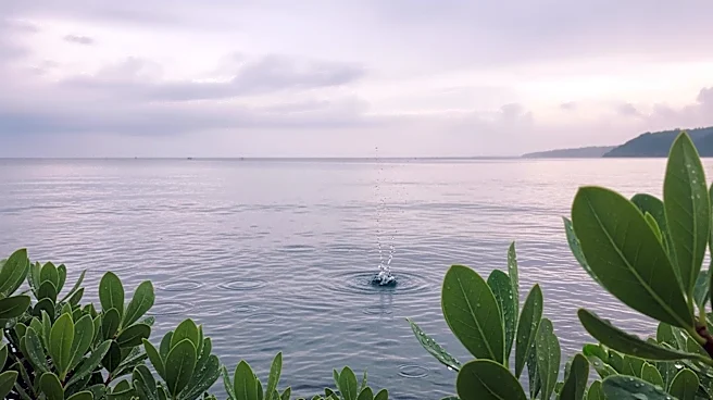 Chloe Carlson Reports Light Rain Forecast for Southern California Over Weekend
