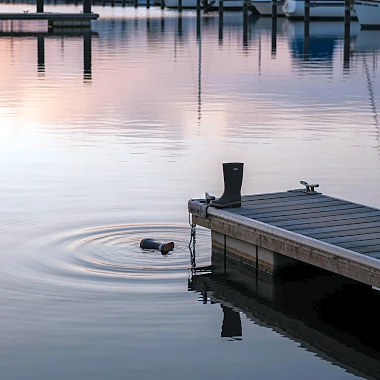 Washington Family Settles for $350k After Otter Attack on Toddler at Marina