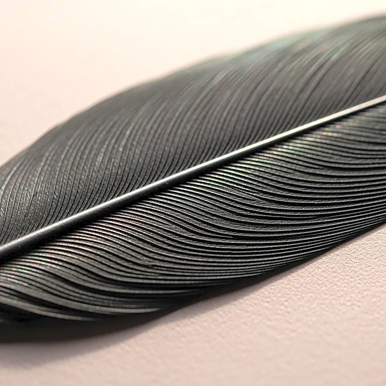 Scientists Discover Unique Melanin Structures in Platypus, Adding to Its Peculiar Traits