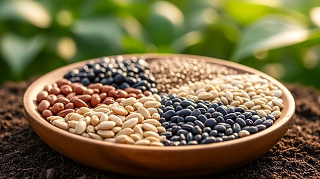 Chizami Seed Bank Honored for Advancing Climate-Resilient Agriculture