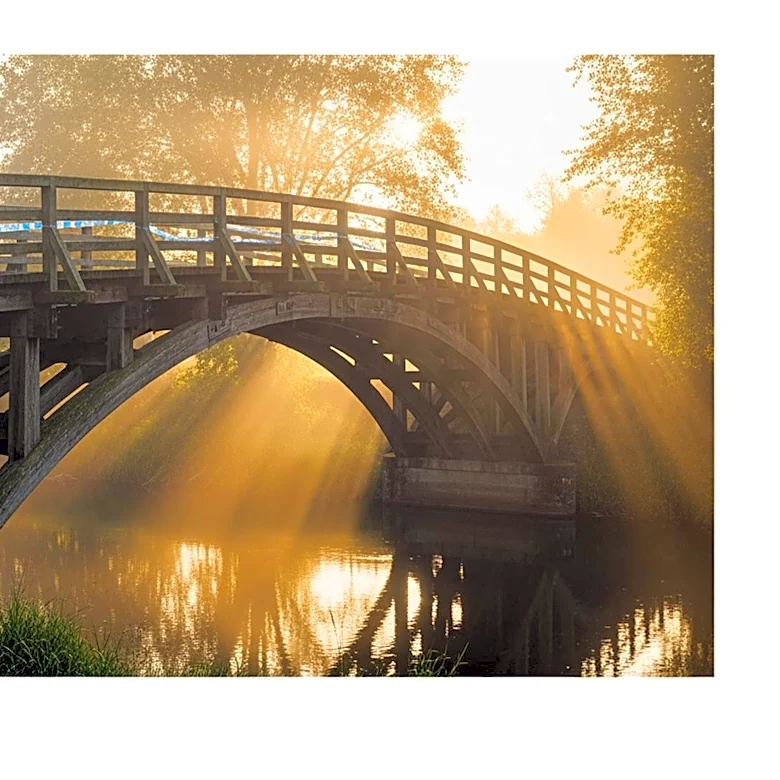 Former NFL Player Gaelin Elmore Advocates for Foster Care Reform at IUN Forum