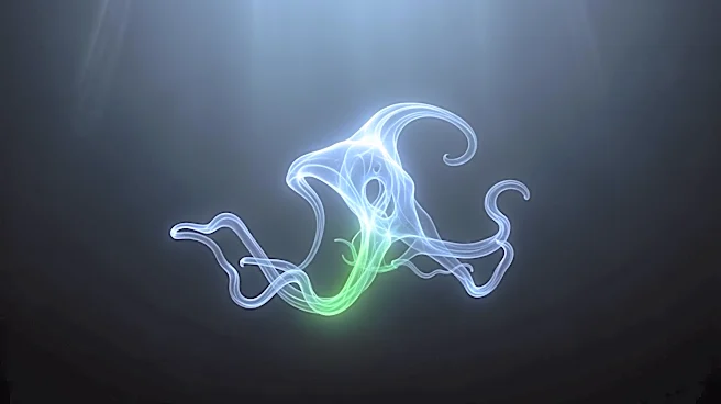 Newly Discovered Sea Creature Poses Public Safety Concerns in Japan