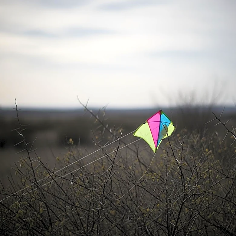 Security Concerns Rise in Nahal Oz as Kites from Gaza Land in Community