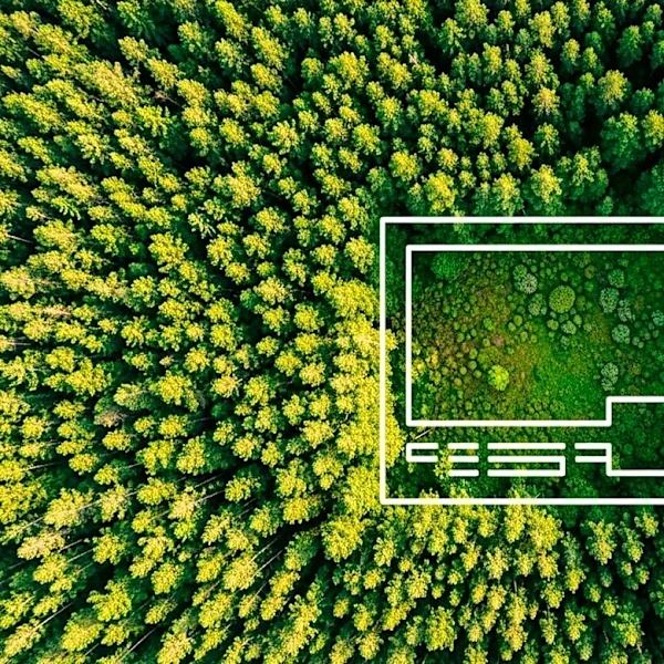 Archbald Residents Oppose Massive Data Center Development Amid Environmental Concerns