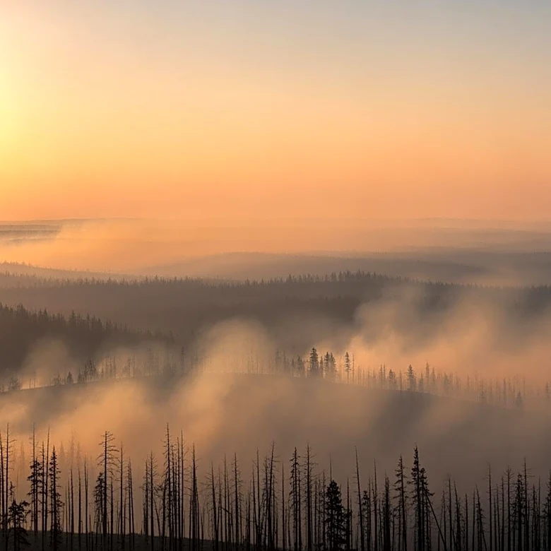 Governor Polis Declares Disaster as Colorado Wildfire Expands to 2,000 Acres
