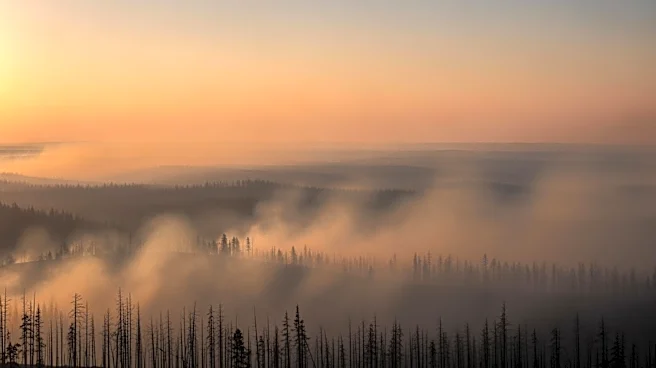 Governor Polis Declares Disaster as Colorado Wildfire Expands to 2,000 Acres