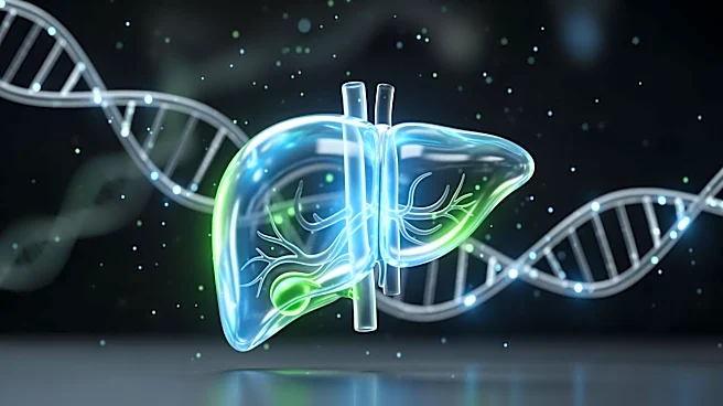 Israeli Scientists Develop First Genetic Atlas of Healthy Human Liver