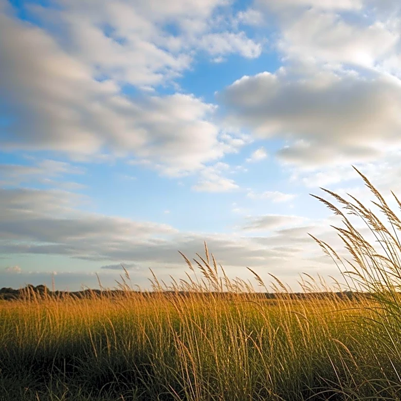 Minnesota Weather Update: Southerly Winds Bring Mid-60s Temperatures