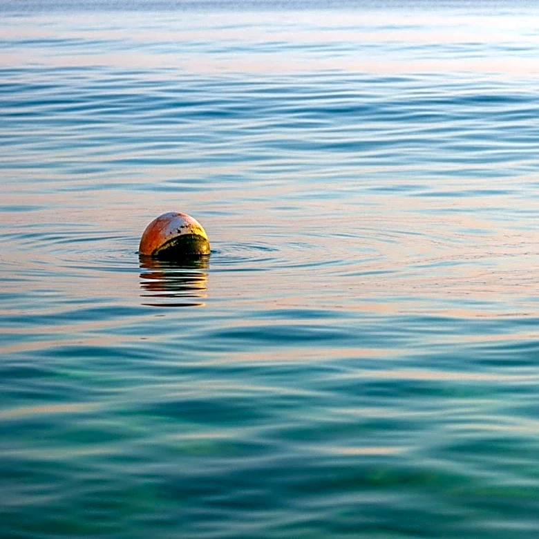 Smithsonian Tropical Research Institute Reports Disruption in Panama's Ocean Upwelling Process