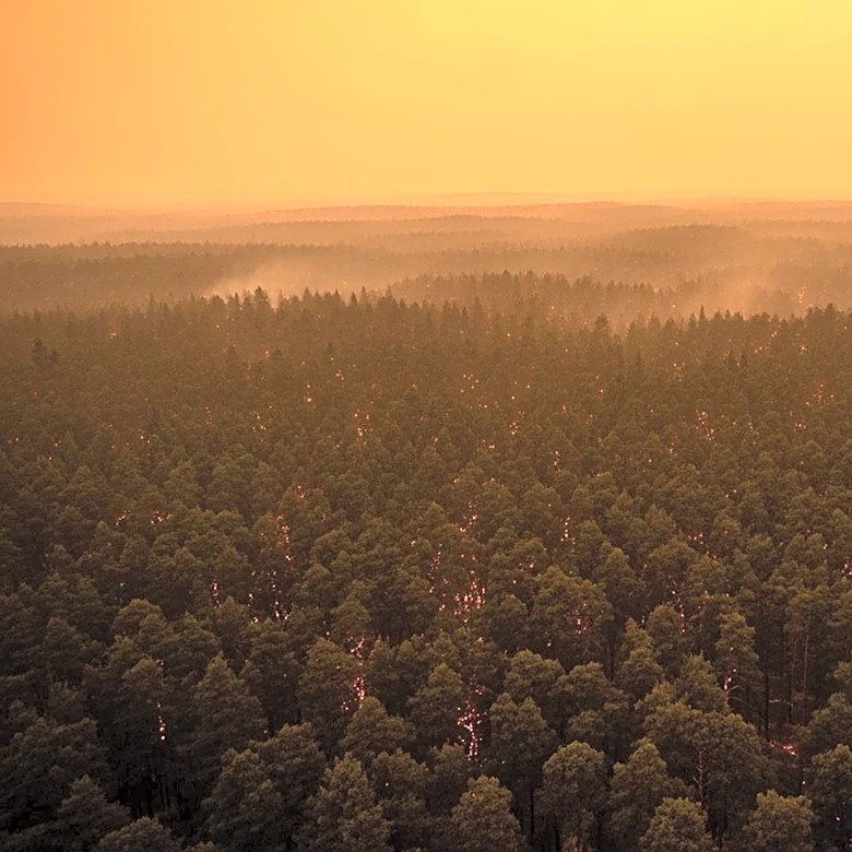 Georgia Wildfire Expands to Over 31 Square Miles, Evacuations Possible