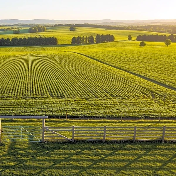 Ohio Department of Agriculture Expands Farmland Preservation, Securing Over 907 Acres