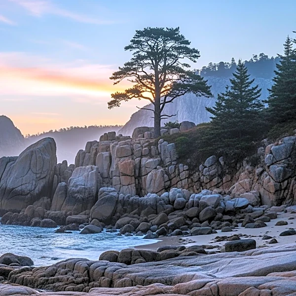 Acadia National Park's Unique Ecological and Historical Significance Draws Visitors