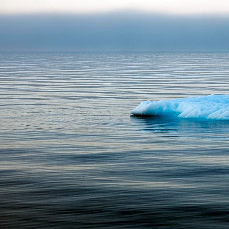 Antarctica's Sea Ice Decline Linked to Oceanic Changes, Study Reveals