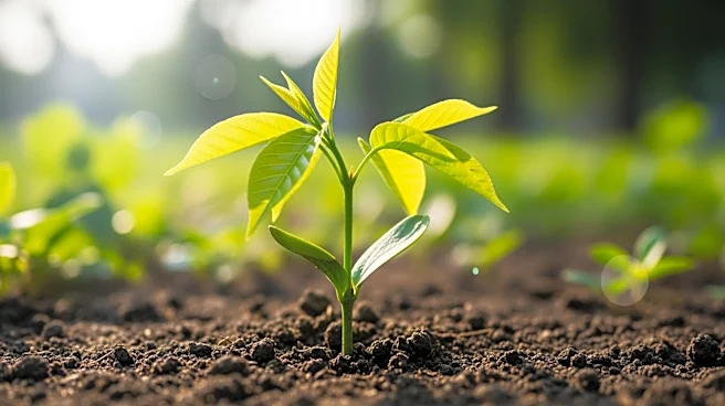 Canandaigua Celebrates Arbor Day with Tree Planting and Earns Tree City USA Status