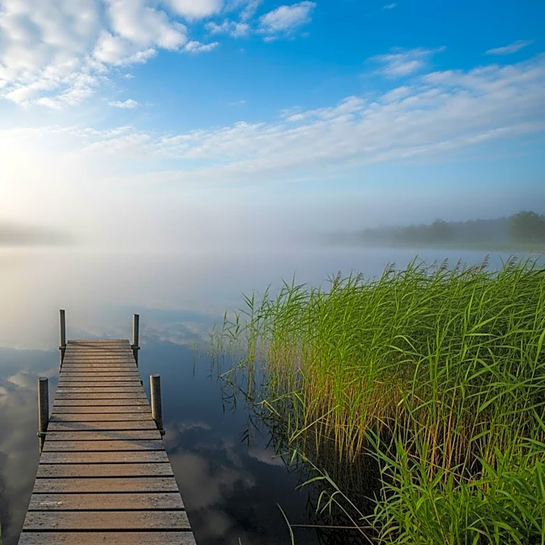 Lake Saimaa Faces Environmental Threats Amid EU Water Protection Debates