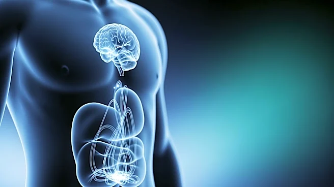 Study Reveals Abdominal Contractions May Enhance Brain Fluid Flow, Potentially Preventing Neurodegenerative Disorders