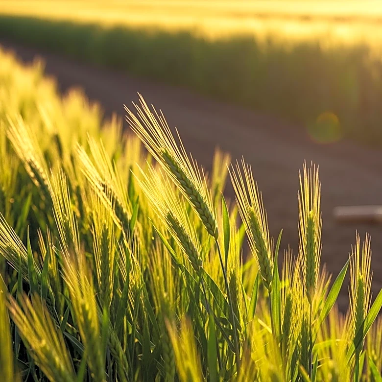 Manchester Community Schools Continues Support for Project RED, Engaging Thousands in Agricultural Education