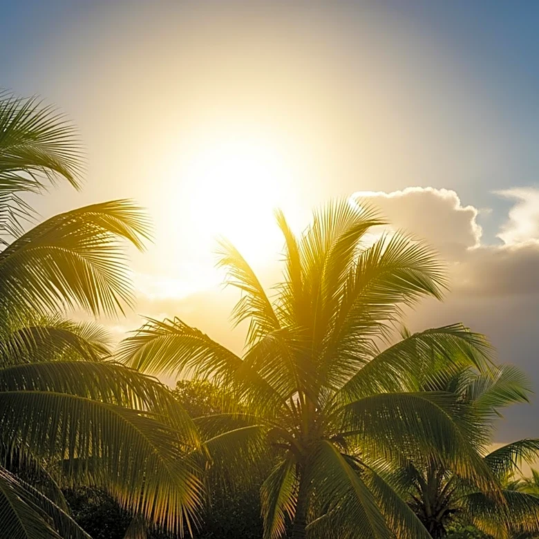 South Florida Faces Heatwave as Scattered Storms Approach