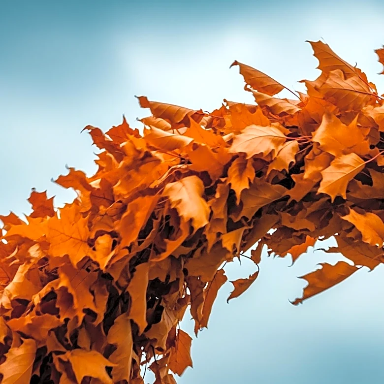 Windy Conditions and Cooler Temperatures Expected in Detroit Area