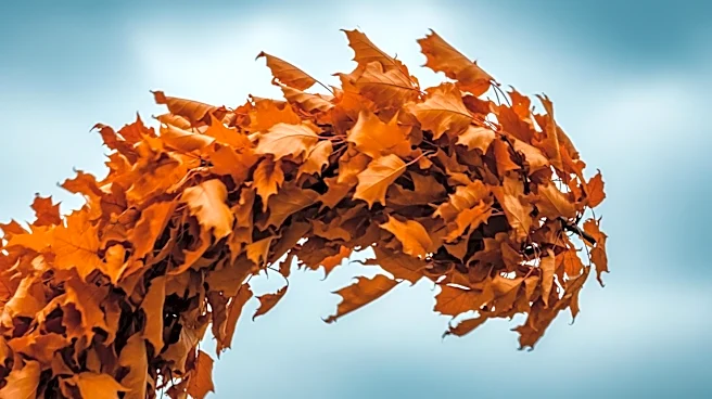 Windy Conditions and Cooler Temperatures Expected in Detroit Area