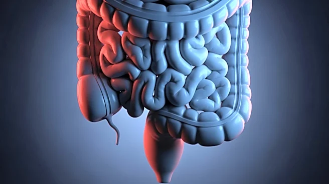 Rising Rectal Cancer Rates Among Young Adults Highlight Urgent Need for Screening Reevaluation