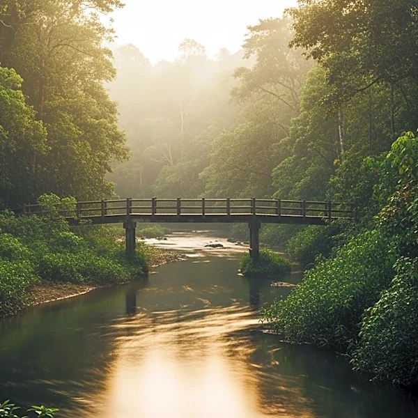 Ecotourism Development in Central African Republic Offers Economic Hope Amidst Instability