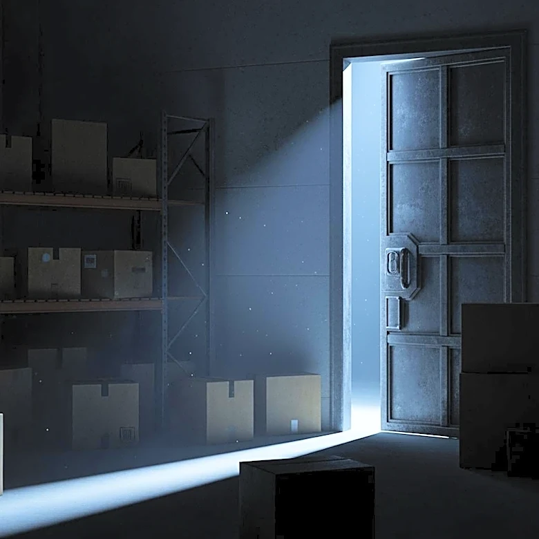 Illinois Commission Releases Videos of Trump-Era Immigration Raids