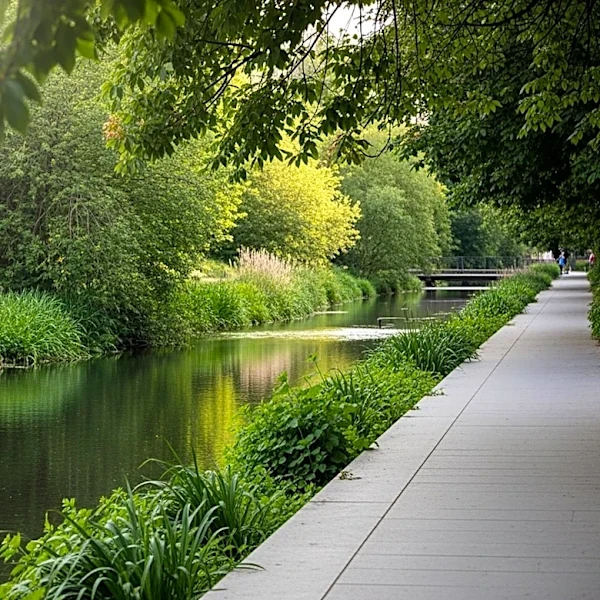 Nature-Based Solutions Proposed for Urban Waterways to Enhance Resilience
