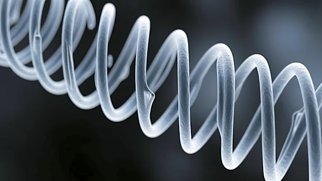 Study Resolves Mechanical Paradox in Oligodendrocyte Myelination